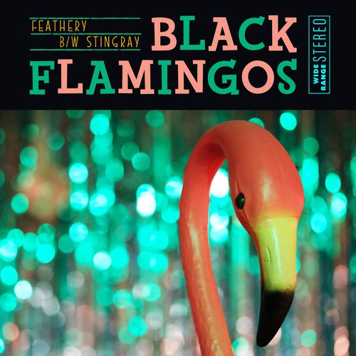 Stingray cover art