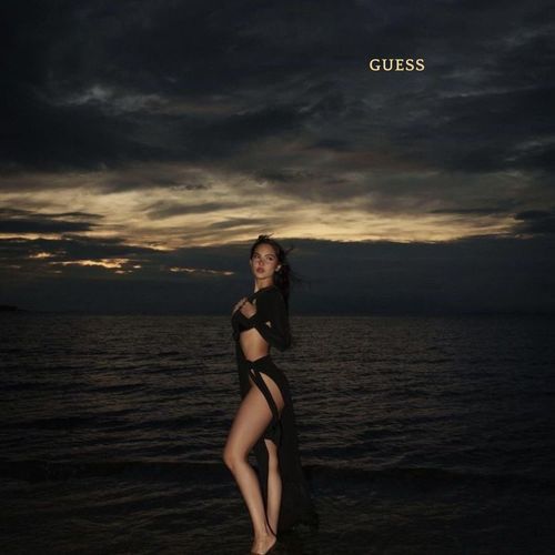 Guess (Slowed)