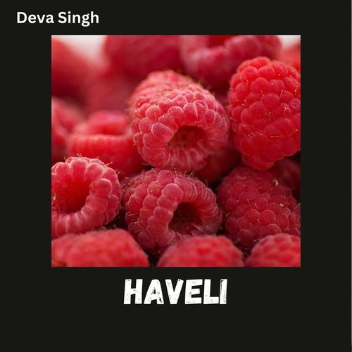 Haveli