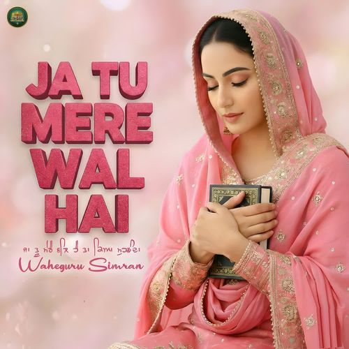 Ja Tu Mere Wal Hai