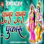 Kanha Kanha Pukaru