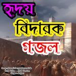 Maa Fatemar Moron Kale - Cute Voice - Male Version