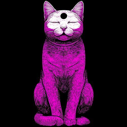 Mantra Cat cover art