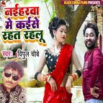 Naiharwa Me Kaise Rahat Rahalu