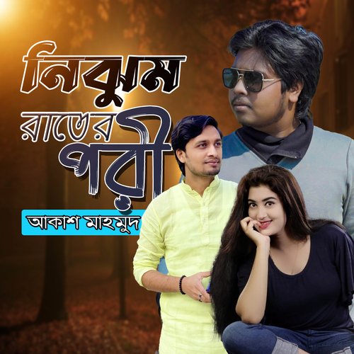 Nijhum Rater Pori