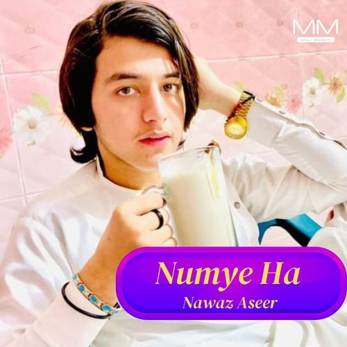 Numye Ha