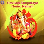 Om Gan Ganpataye Namo Namah