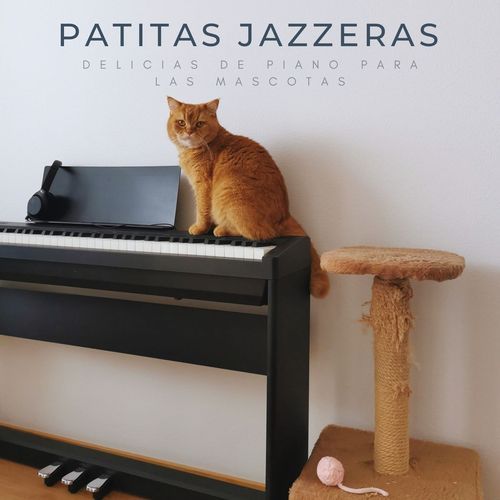 Patitas Jazzeras: Delicias De Piano Para Las Mascotas
