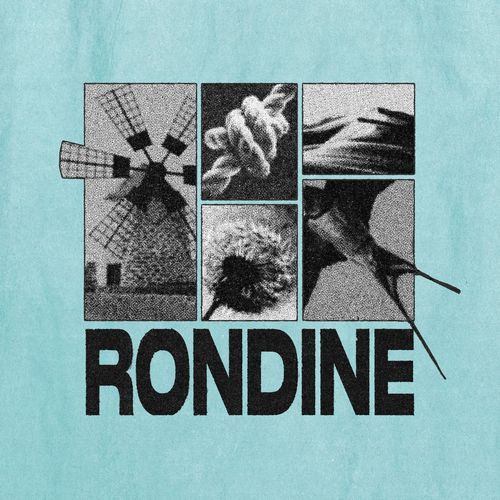 Rondine cover art