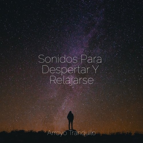 Refugio De Paz cover art