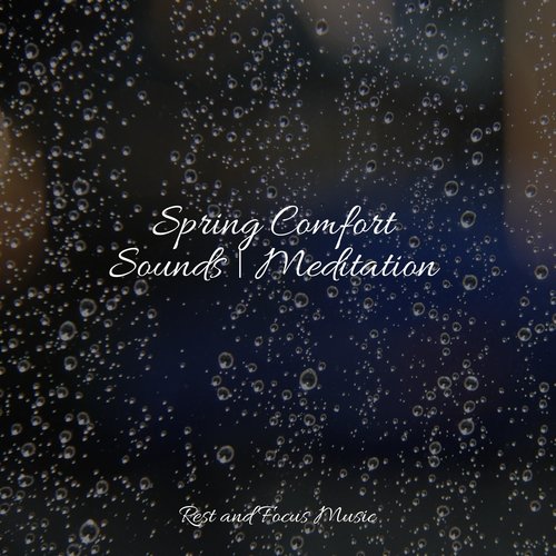 Spring Comfort Sounds | Meditation