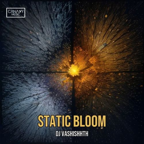 Static Bloom