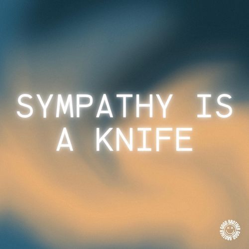 Sympathy is a knife (House)