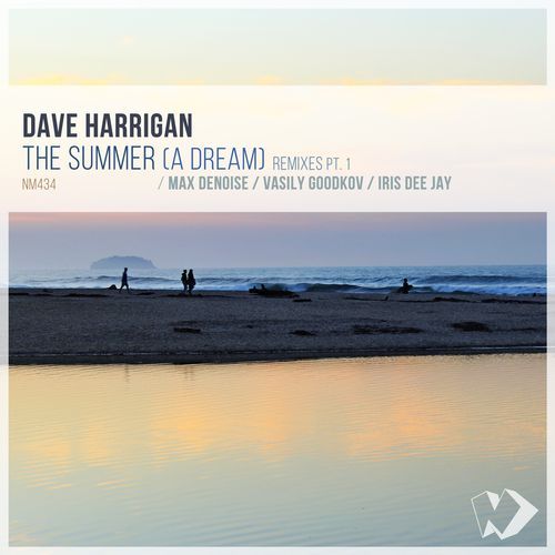 The Summer, a Dream (Vasily Goodkov Remix) cover art