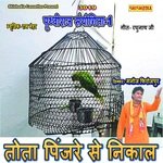 Tota Pinjare Se Nikaal