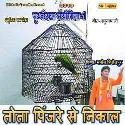 Tota Pinjare Se Nikaal