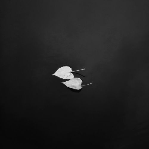 Under Neath