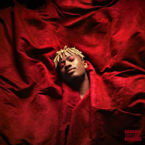 Kiwi cover art