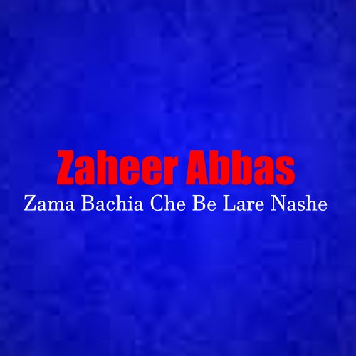 Zama Bachia Che Be Lare Nashe_poster_image