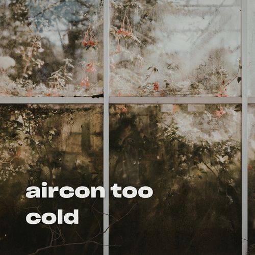 Not Another Love Song