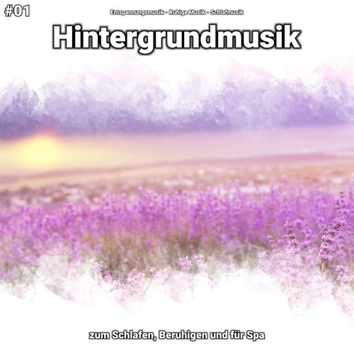 #01 Hintergrundmusik zum Schlafen, Beruhigen und für Spa_poster_image