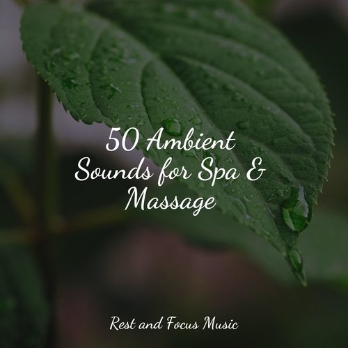 Spa Music cover art