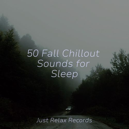 50 Fall Chillout Sounds for Sleep