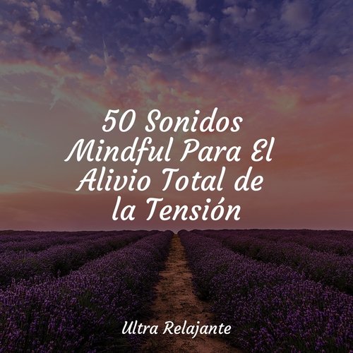 50 Sonidos Mindful Para El Alivio Total de la Tensión_poster_image