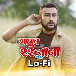 Amar Hoilana (Lo-Fi)