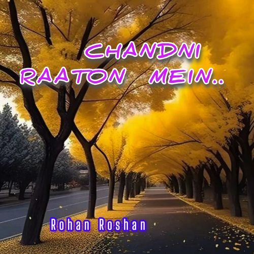 Chandni Raaton Mein..