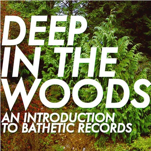 Deep In The Woods: An Introduction to Bathetic Records