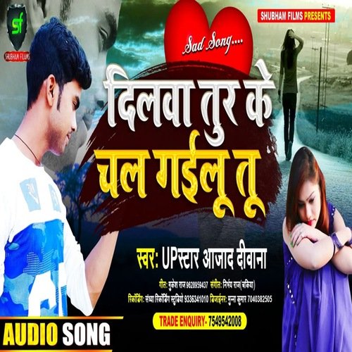 Dilwa Tur Ke Chal Gailu Tu