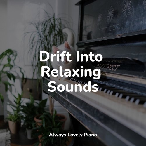 Drift Into Relaxing Sounds