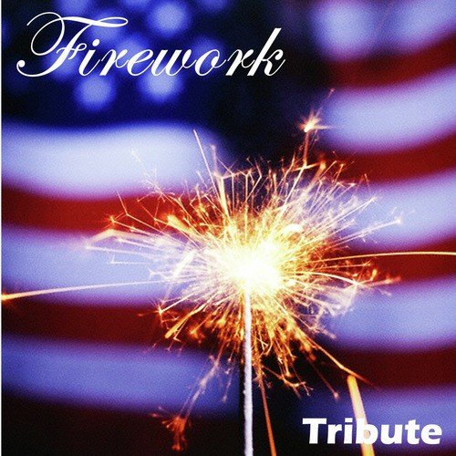 Firework (Salute to Katy Perry)