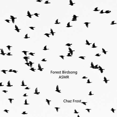 Forest Birdsong ASMR