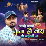 Janmo Janmo Naata Hau Tora Se Bahini Na
