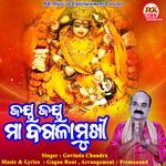 Jaya Jaya Maa Bagalamukhi