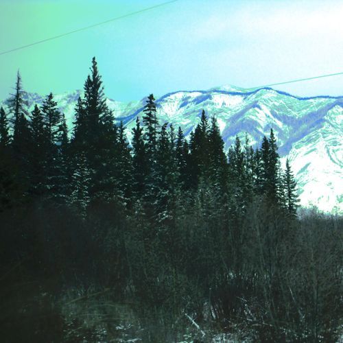 FreshSnow