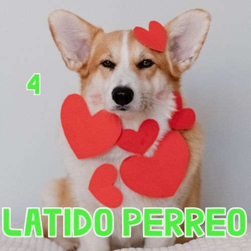 Latido Perreo Vol. 4