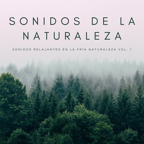 Música Relajante Para La Respiración cover art