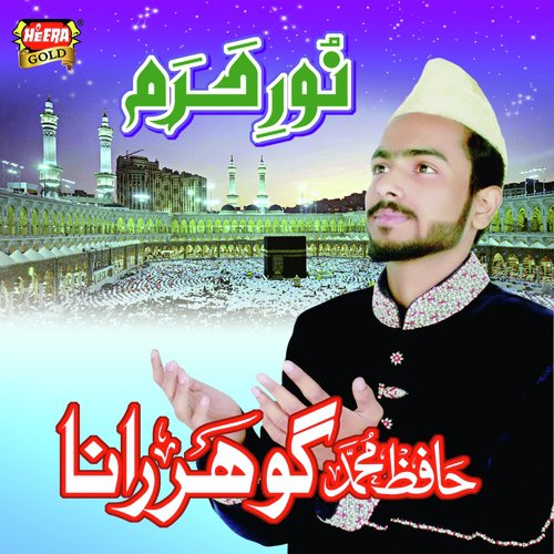 Noor E Haram_poster_image