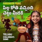 Pilla Koti Vacchindi Chettu Meedaki