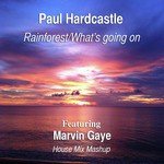 Rainforest/What's Going On (feat. Marvin Gaye)