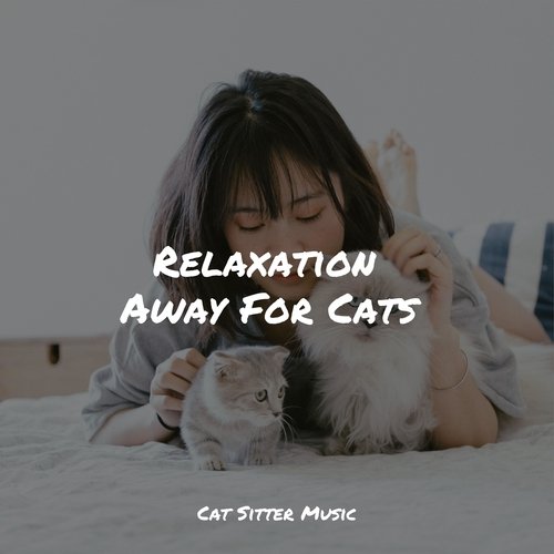 Relaxation Away For Cats_poster_image