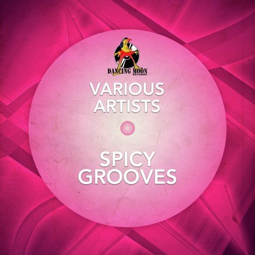 Spicy Grooves