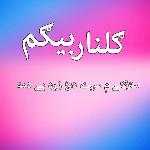 Stargay Mey Sray Zara Begama 