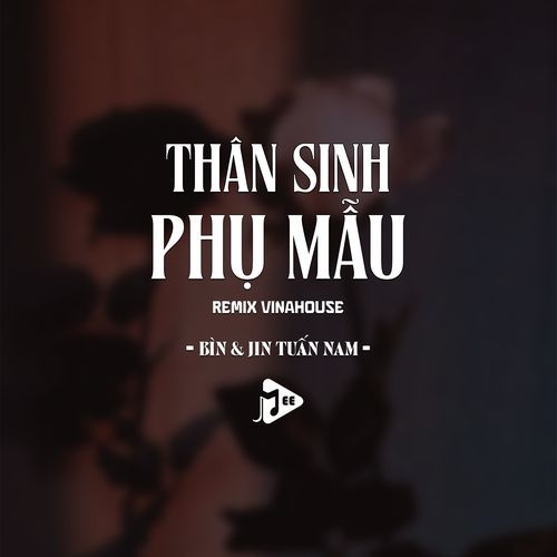 Thân Sinh Phụ Mẫu (Remix Vinahouse) cover art
