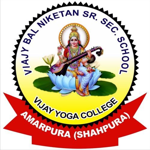 Vijay Bal Niketan senior secondary School