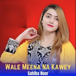 Wale Meena Na Kawey-ITktXkJbYXU