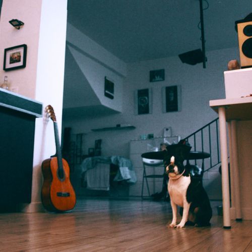 che tu sia al sicuro